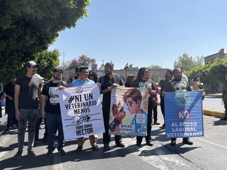 Médicos veterinarios marchan por dignificación de su profesión, denuncian agresiones