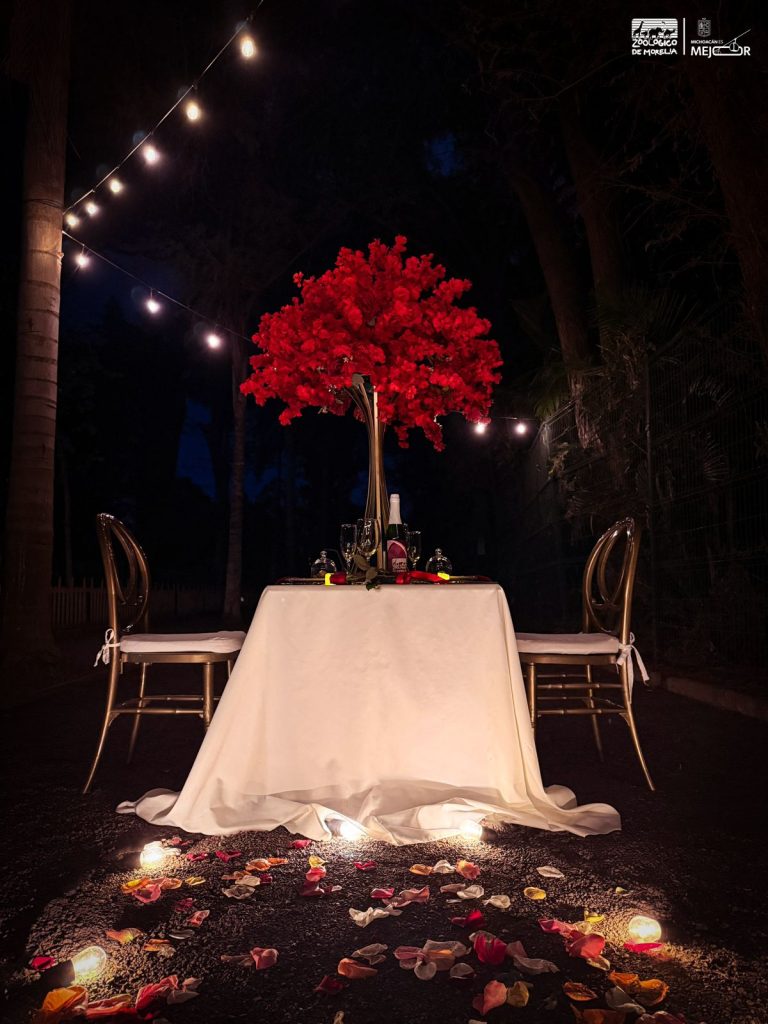 Invita zoológico de Morelia a una cena inolvidable