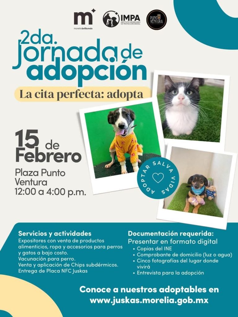 Impa invita a la 2ª Jornada de Adopción, este fin de semana
