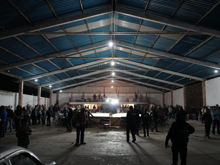 Desmantelan palenque clandestino en Tiripetío