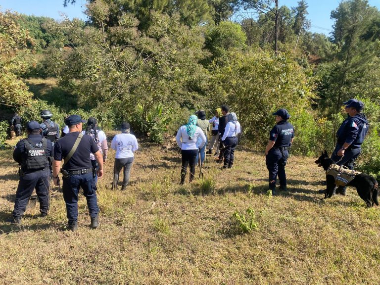 Guardia Civil mantiene operativos de búsqueda forense en Michoacán