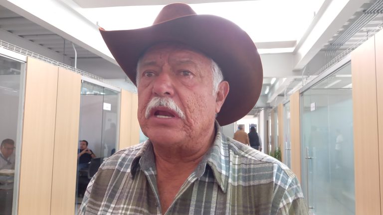 De diciembre a la fecha, hasta 500 cabezas de ganado han sido robadas en Morelia