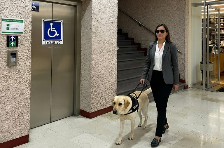 Abre Poder Judicial sus puertas a animales de servicio, asistencia y/o terapia que acompañen a personas con discapacidad