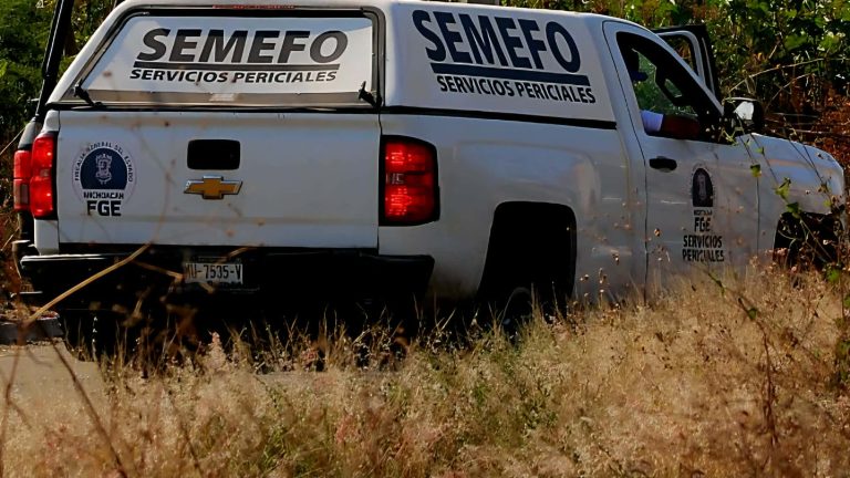Localizan cadáver calcinado en predio de Cotija