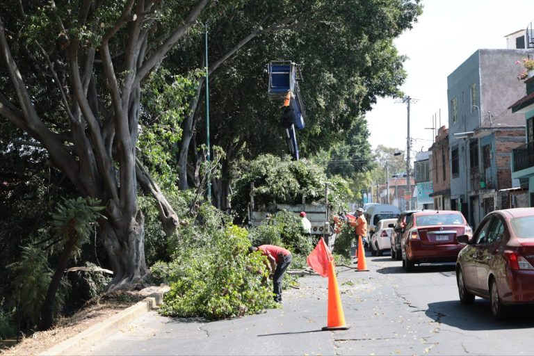 Alcalde llama a cuidar entre todos los espacios públicos