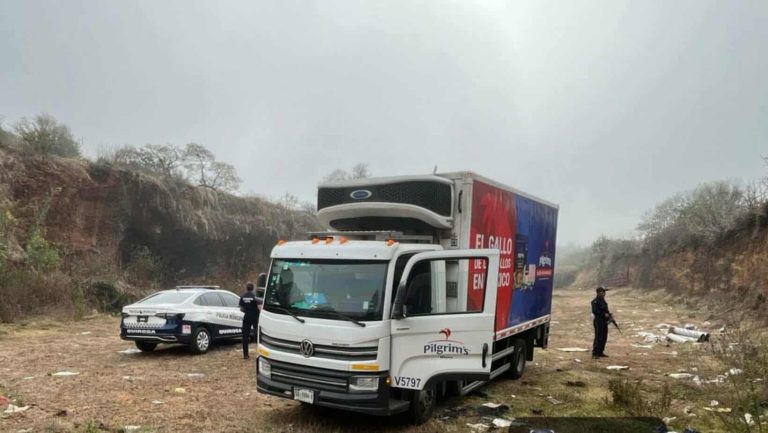 Policías de Quiroga recuperan camión robado