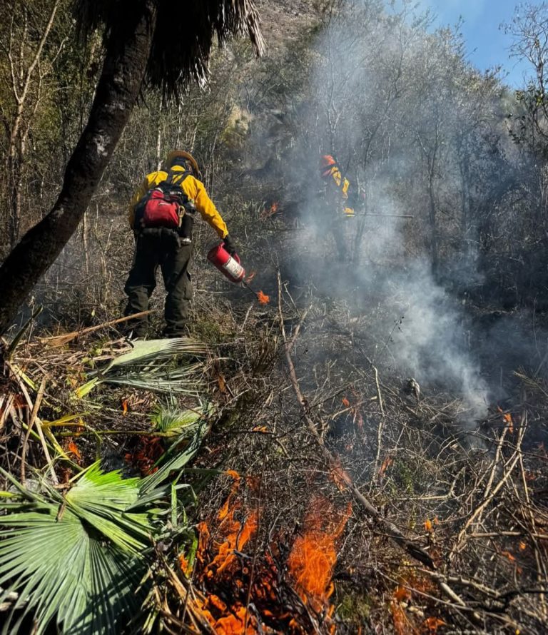 Michoacán reporta 28 incendios forestales: PC