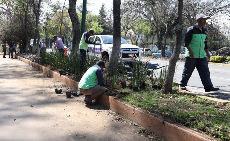 Supervisan jornada integral de limpieza y reparación en la Calzada Juárez