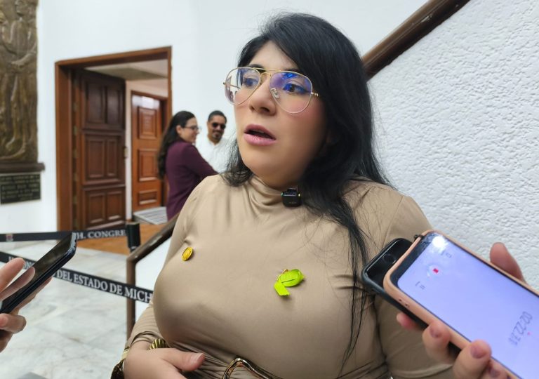 Michoacán carece de preparación ante narco contingencias, afirma la panista Vanessa Caratachea