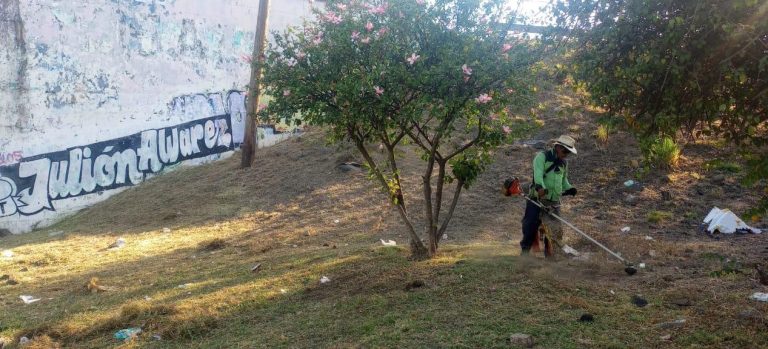 Gobierno Municipal da limpieza y mantenimiento a áreas verdes de Morelia