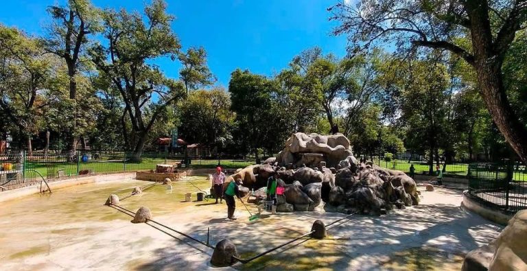 Implementa Ayuntamiento de Morelia acciones de cuidado y protección de fauna en el Bosque Cuauhtémoc