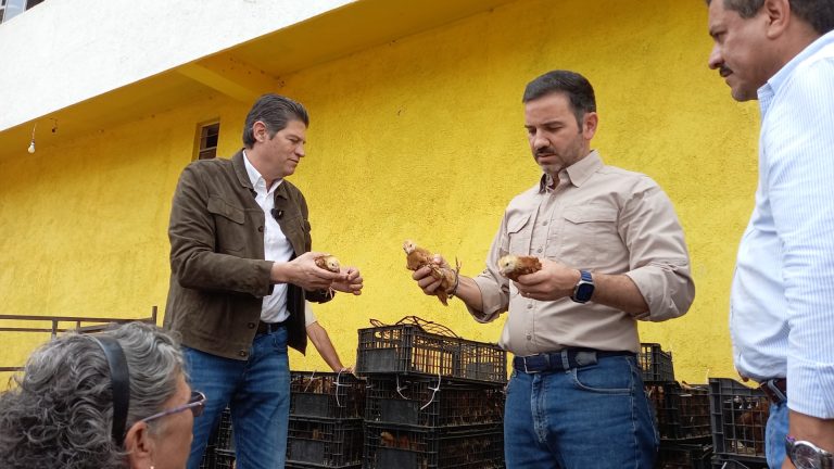 Ayuntamiento pone en marcha programa de apoyo al campo