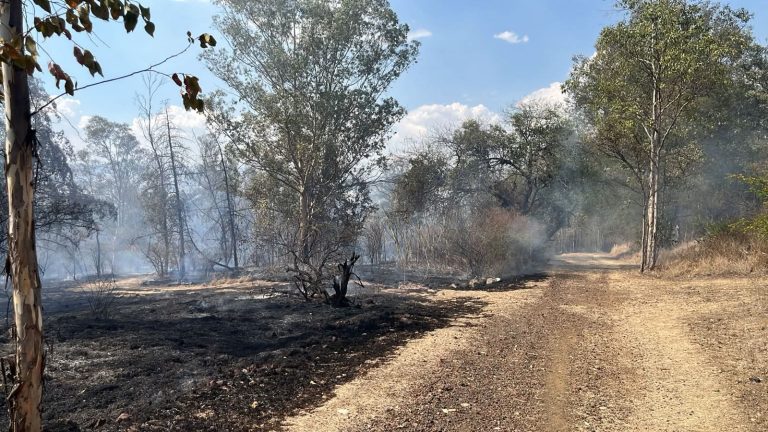 Llaman a proteger las vías respiratorias en caso de incendios forestales