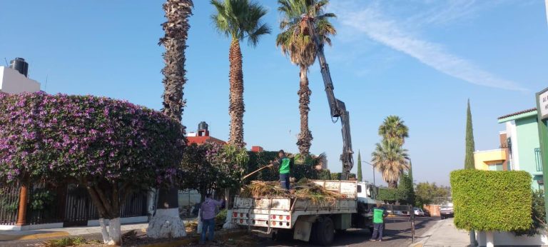 Ayuntamiento interviene y mejora áreas verdes