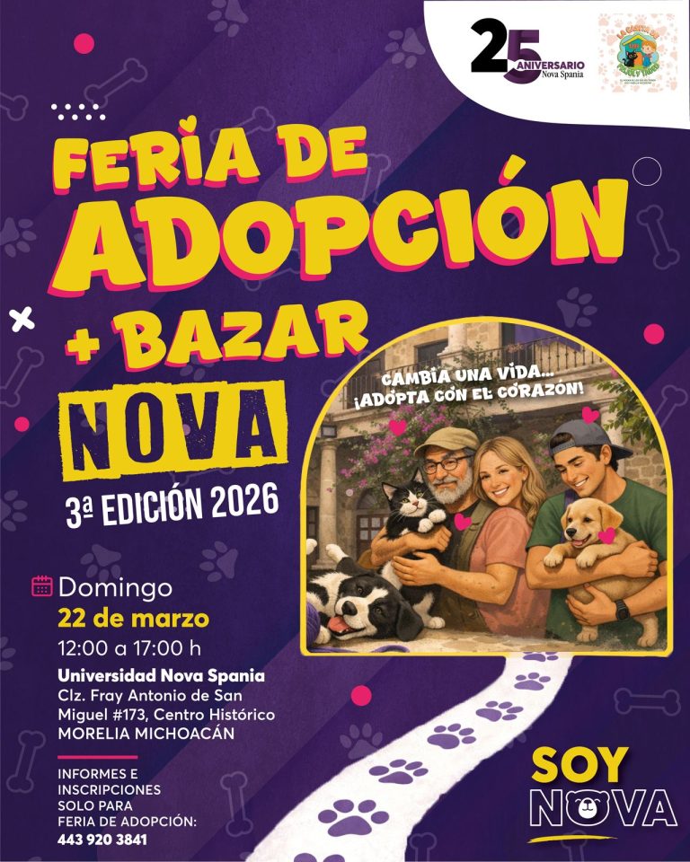 Gatos y perros de La Casita de Frijol y Tadeo buscan humano en feria de adopción