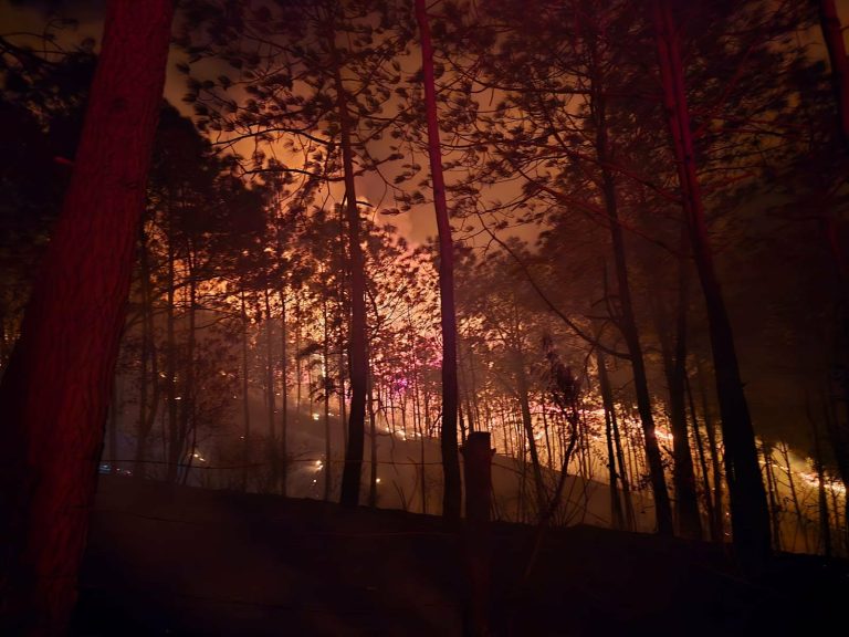 Mueren dos brigadistas al combatir incendio forestal en Tacámbaro