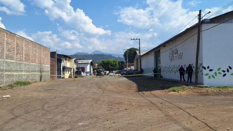 Delincuentes balean empaque de aguacate en la colonia 12 de Diciembre, en Uruapan