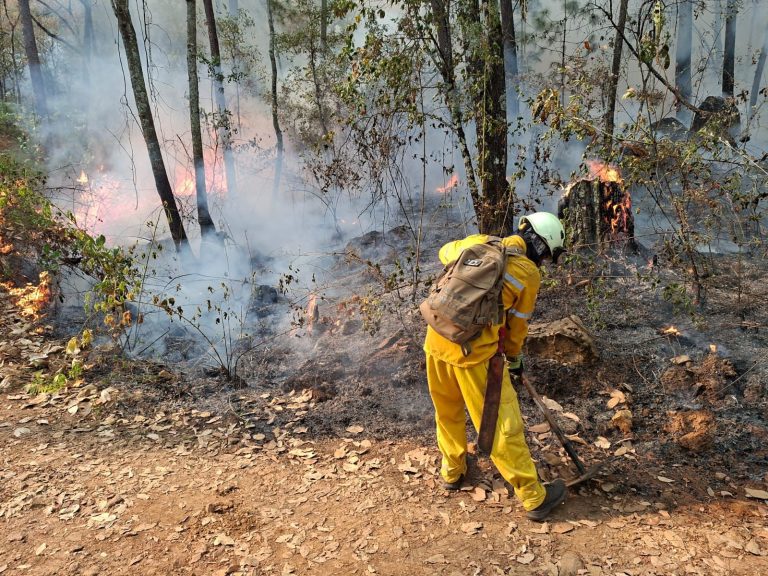 Incendio en Área Natural Protegida de Tzitzio, controlado al 100 %