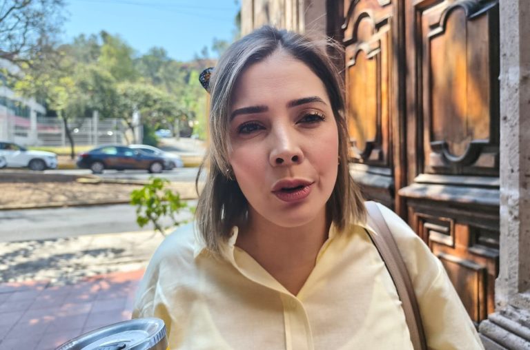 Prevé Brissa Arroyo escaso respaldo para que el Plan B de la Reforma Electoral vuelva a aprobarse en el Congreso