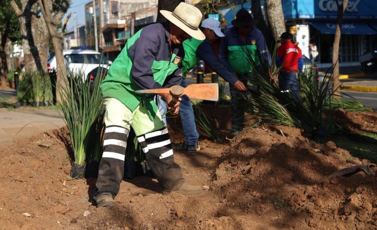 Supervisan rehabilitación del parque lineal Bulevar García de León y Camelinas