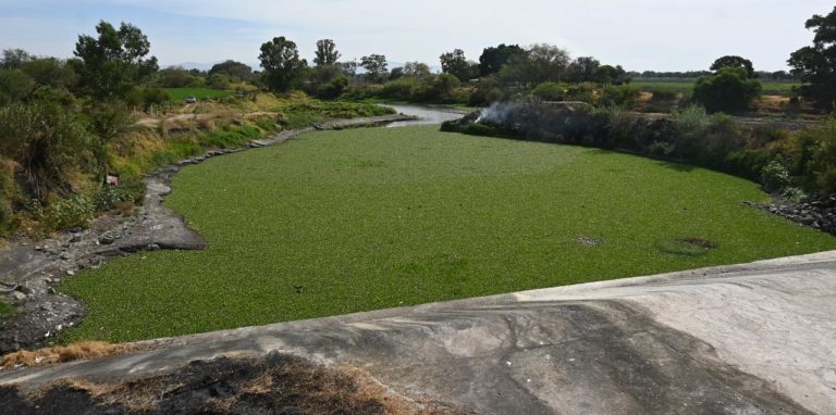Llama a productores agrícolas a regularizar concesiones de agua
