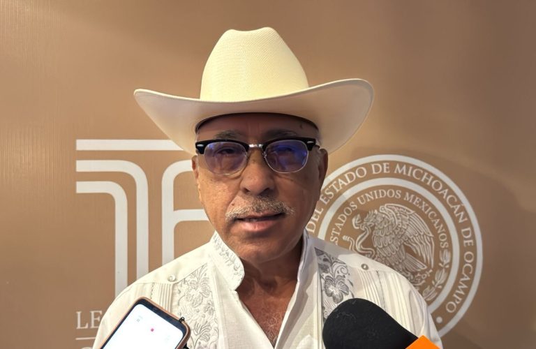 Buenavista sigue esperando: Plan Michoacán no ha llegado, acusa Guadalupe Mora