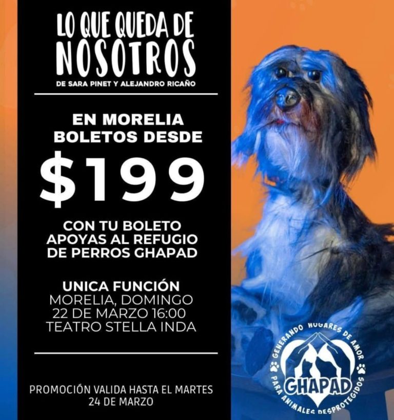 Reducen el costo de boletos para “Lo que queda de nosotros”, una obra que rescata perros