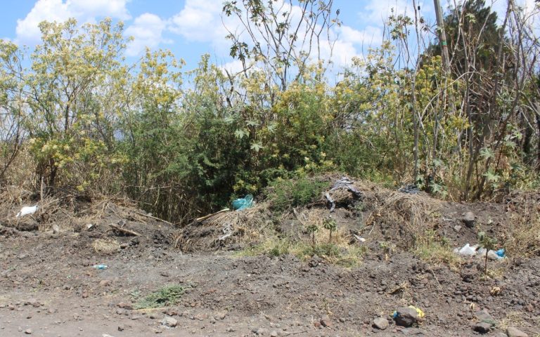 Hallan restos humanos desmembrados en camino de Zamora