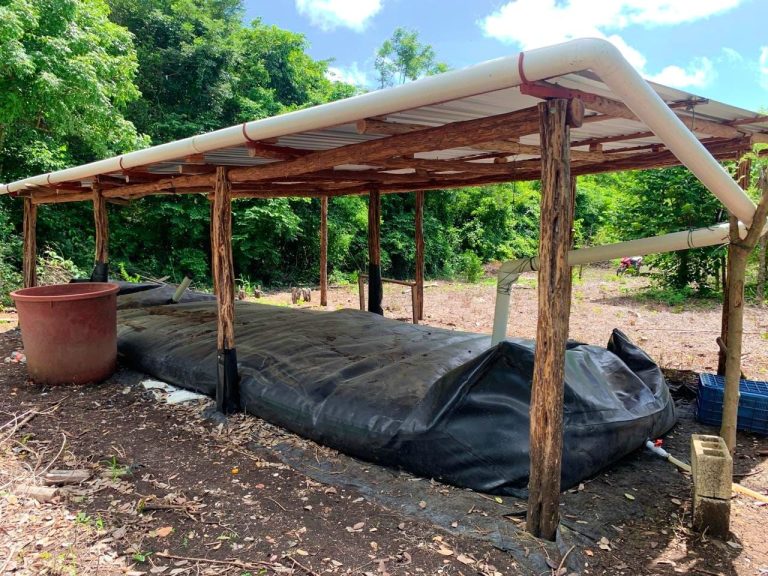 Entregan 16 sistemas de captación pluvial para traspatio en comunidades rurales