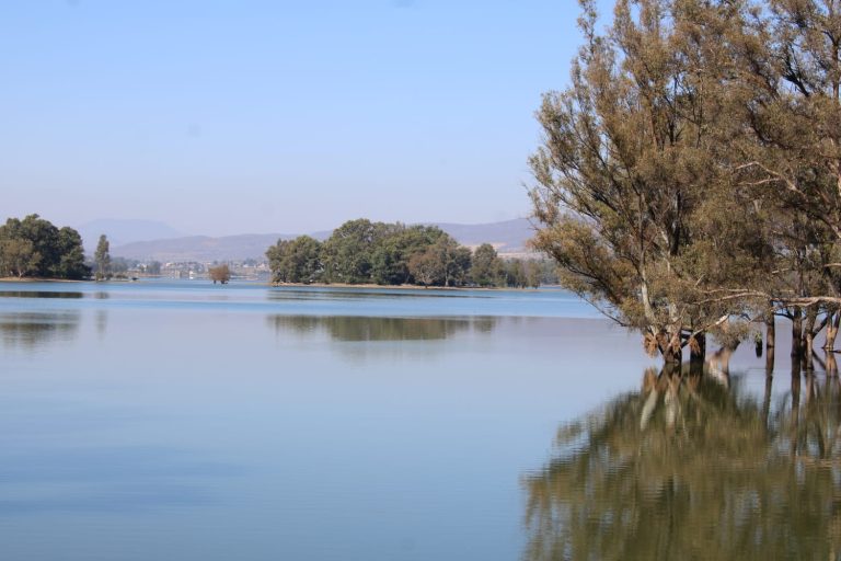 Realizan taller regional para restaurar ecosistemas y fortalecer medios de vida sostenibles