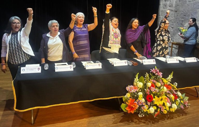Mujeres suemistas mantienen lucha por derechos laborales