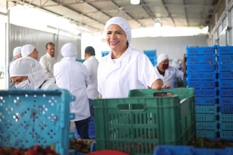 Fabiola Alanís reconoce el liderazgo de las mujeres en la agroindustria de las berries en Jacona