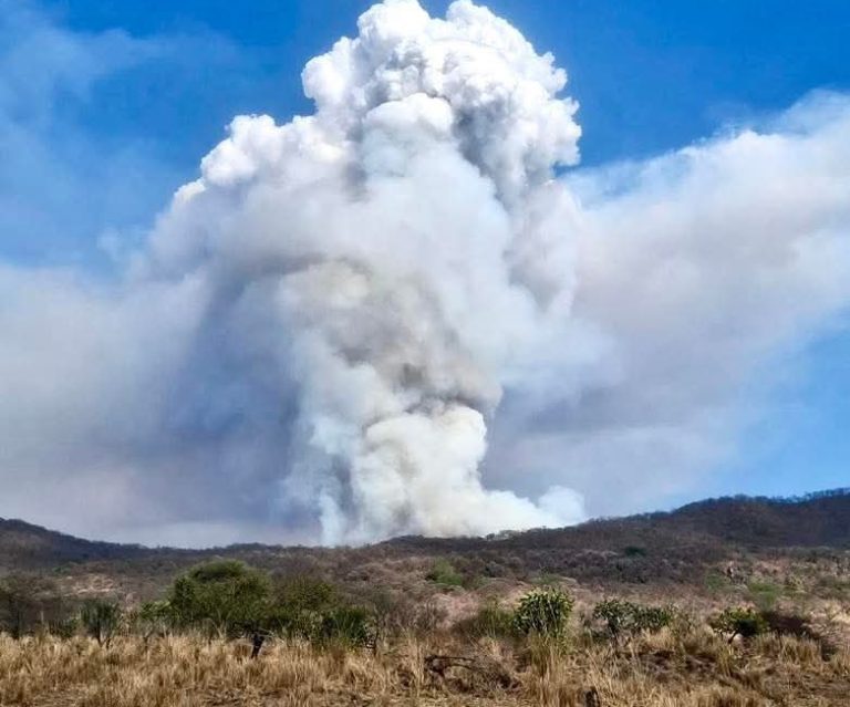 Fuerte incendio forestal se registra en el municipio de Nuevo Urecho