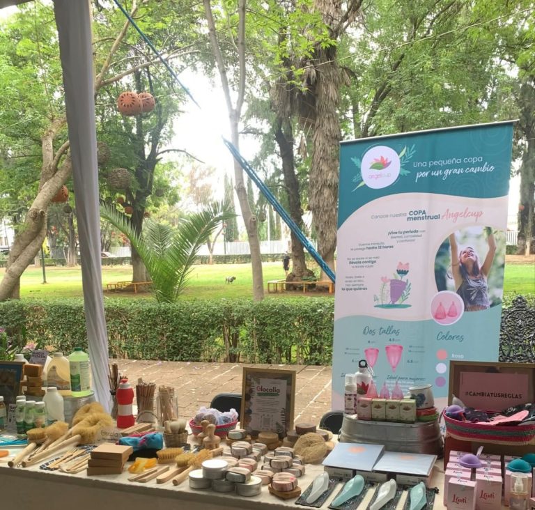 Impulsan economía local, más de 150 emprendedoras toman Ceconexpo con “La Solidarias”