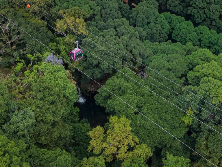 El impacto verde detrás de la gran obra del teleférico de Uruapan