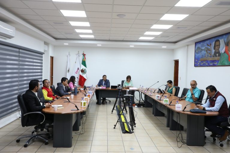 Aplica IEM reformas para destinar más recursos a mujeres y comunidades LGBTIQ+ en partidos políticos