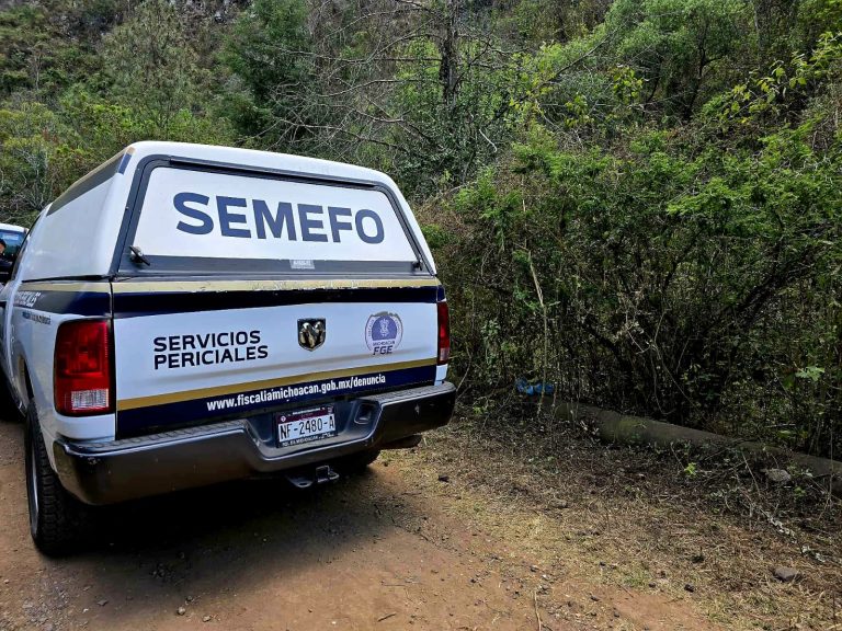 Hallan dos cuerpos calcinados junto a vehículo incendiado en Epitacio Huerta