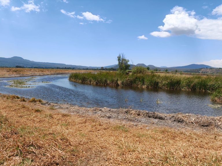 Detectan tres nuevos manantiales en el ejido de Tzurumútaro durante labores de desazolve
