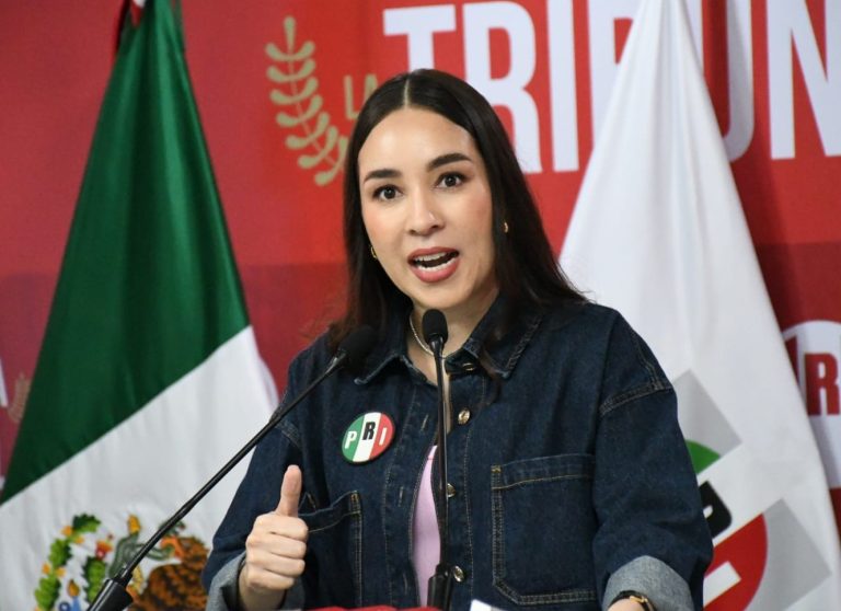 Ignora Morena la ayuda internacional en tema de desapariciones: PRI