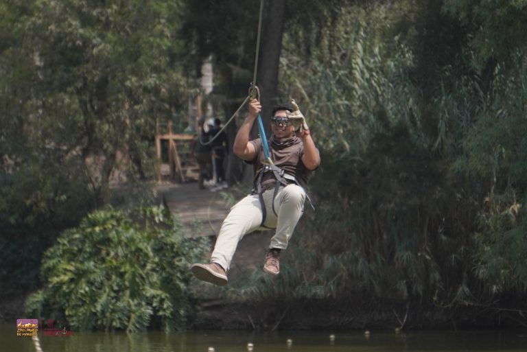 Vive la adrenalina en la tirolesa del Zoológico de Morelia