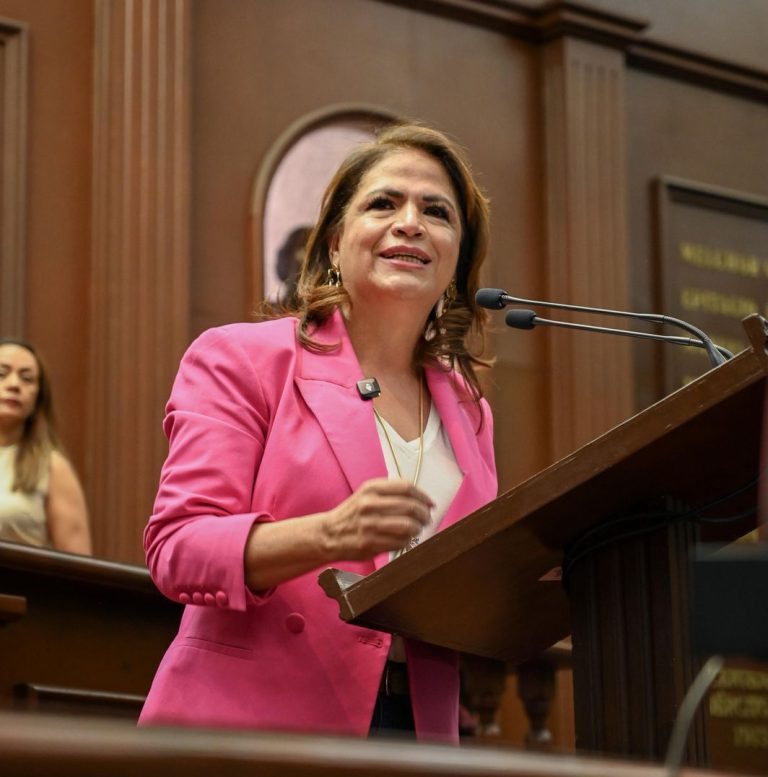 Plan B es un paso firme hacia una democracia más austera, transparente y cercana al pueblo: Fabiola Alanís