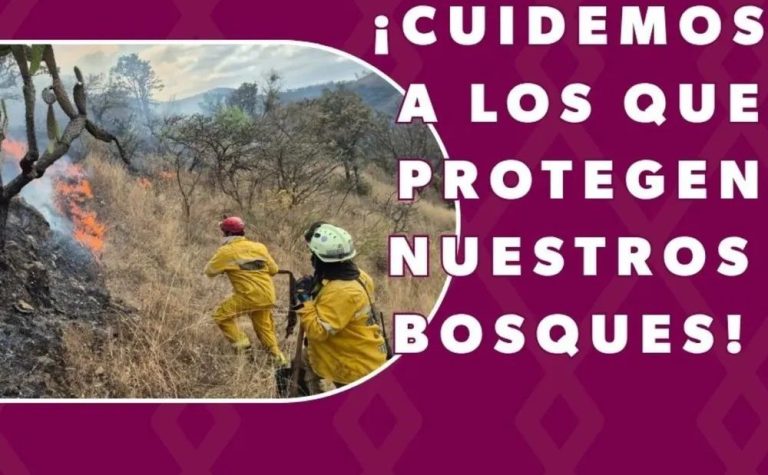 Mantiene Secretaría de Medio Ambiente abierto centro de acopio en apoyo a brigadistas forestales