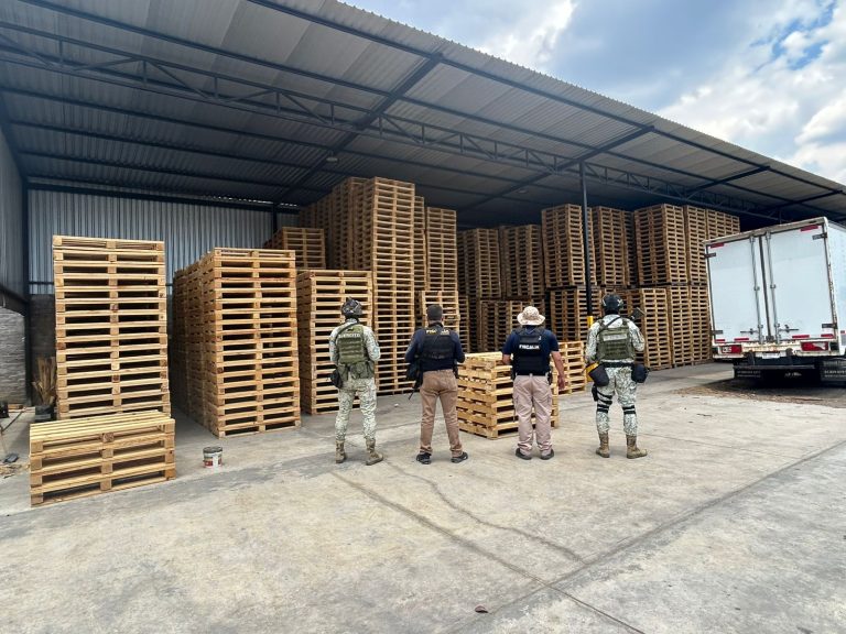 Asegura FGE madera procesada y maquinaria para su transformación