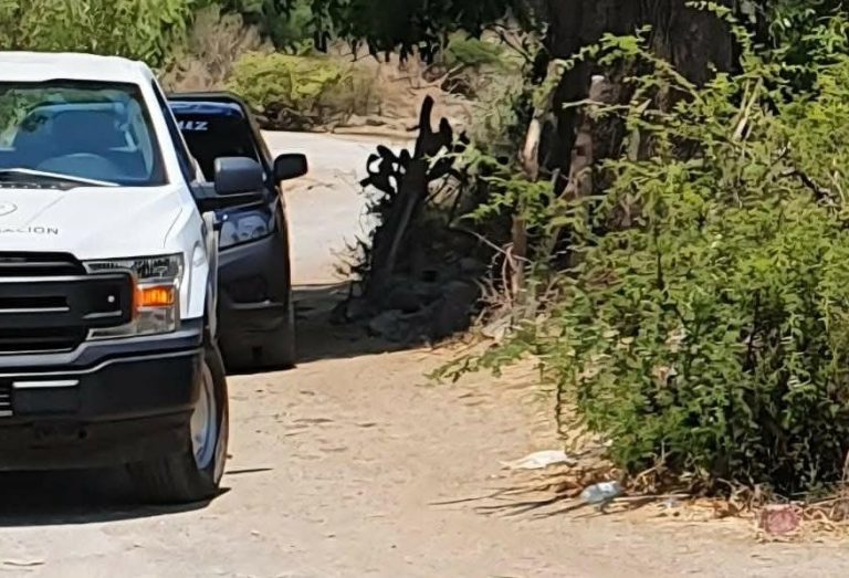 Muere hombre electrocutado mientras realizaba labores en un árbol de tamarindo en Múgica