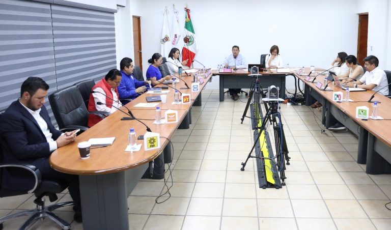 Aprueba IEM informe final de fiscalización de asociaciones civiles que participaron en Proceso Electoral 2023-2024
