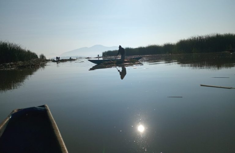 En 2026 se han descubierto 18 manantiales en el lago de Pátzcuaro