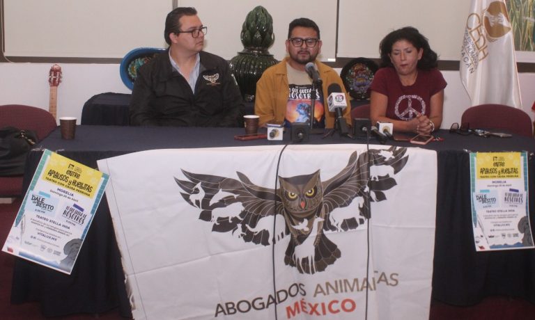 Anuncian jornada teatral en favor de perros y gatos víctimas del abandono