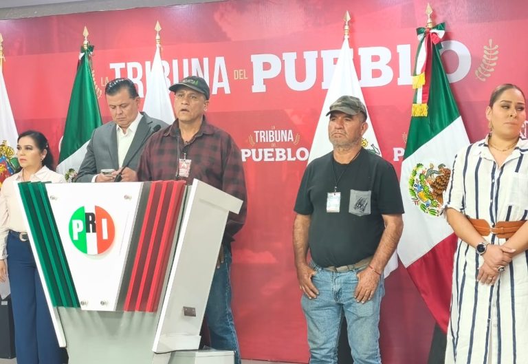 “Nos vamos a armar”, ambientalistas retan al gobierno de Michoacán por crisis de seguridad