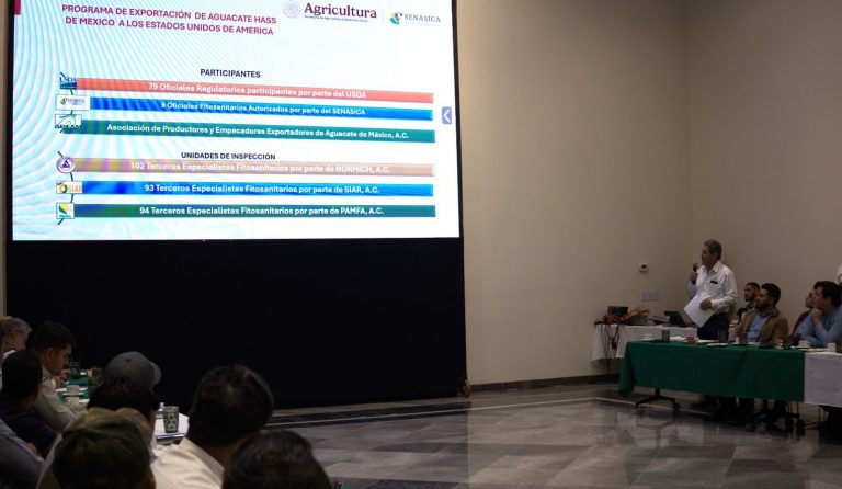 Michoacán alista ciclo exportador de aguacate con enfoque en sanidad y sostenibilidad