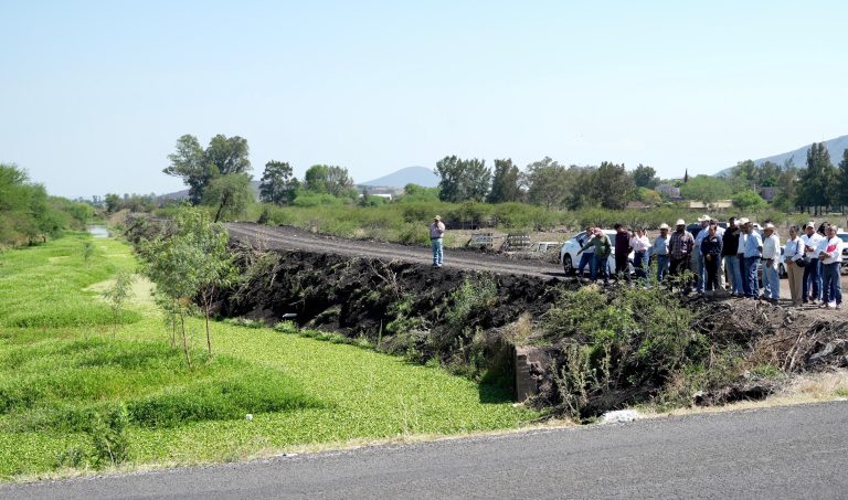 Rehabilitación del dren Penjamillo garantiza la producción de sorgo y maíz